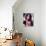 Brooke Shields-null-Stretched Canvas displayed on a wall