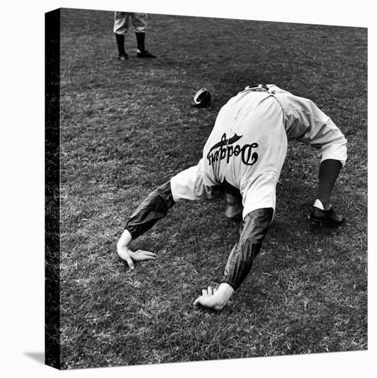 Brooklyn Dodgers Pitcher Ed Albosta Doing Stretching Exercise During Spring Training-William Vandivert-Premier Image Canvas