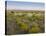 Broomweed growing among prairie grasses, Apishapa State Wildlife Refuge, Colorado-Tim Fitzharris-Stretched Canvas