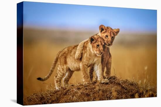 Brothers for Life-Jeffrey C. Sink-Premier Image Canvas