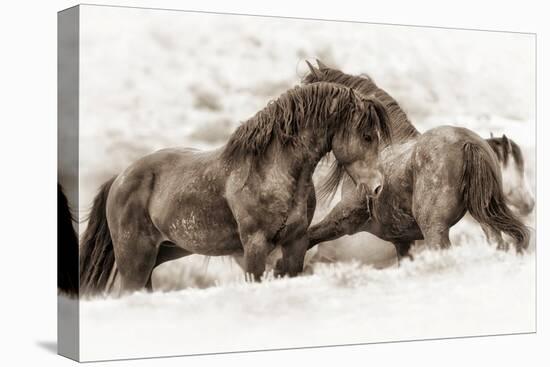 Brothers-Lisa Dearing-Premier Image Canvas