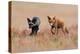 Brothers-Jun Zuo-Premier Image Canvas