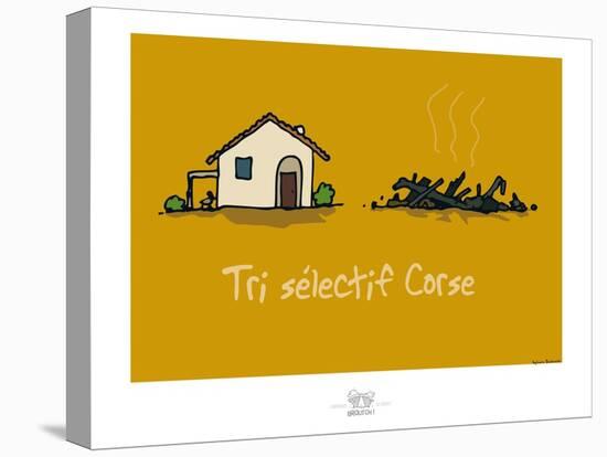 Broutch - Tri sélectif corse-Sylvain Bichicchi-Stretched Canvas