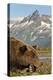 Brown Bear and Coastal Mountains, Katmai National Park, Alaska-Paul Souders-Premier Image Canvas