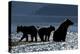 Brown Bear and Cubs, Katmai National Park, Alaska-Paul Souders-Premier Image Canvas