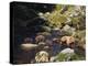 Brown Bear and Cubs-DLILLC-Premier Image Canvas