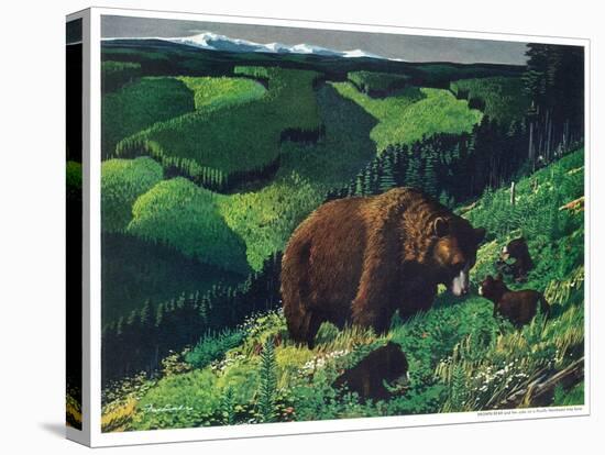 Brown Bear and Cubs-Fred Ludekens-Premier Image Canvas