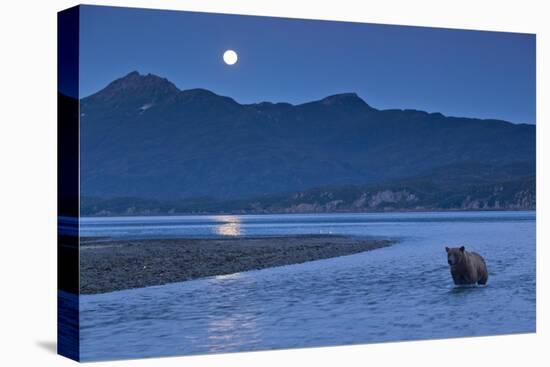 Brown Bear and Full Moon, Katmai National Park, Alaska-Paul Souders-Premier Image Canvas