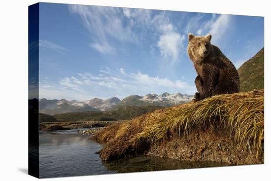 Brown Bear and Mountains, Katmai National Park, Alaska-Paul Souders-Premier Image Canvas
