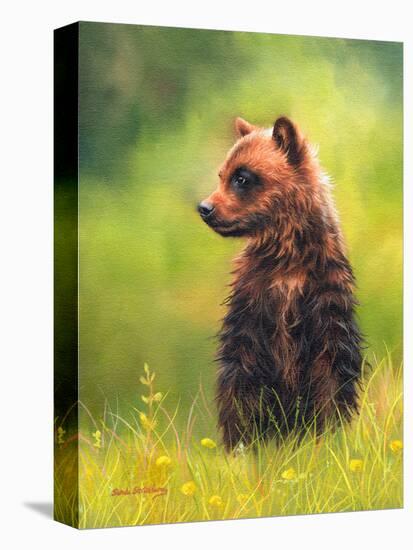 Brown Bear Cub-Sarah Stribbling-Stretched Canvas