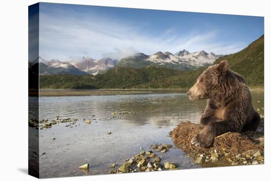 Brown Bear, Katmai National Park, Alaska-Paul Souders-Premier Image Canvas