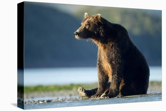 Brown Bear, Katmai National Park, Alaska-Paul Souders-Premier Image Canvas