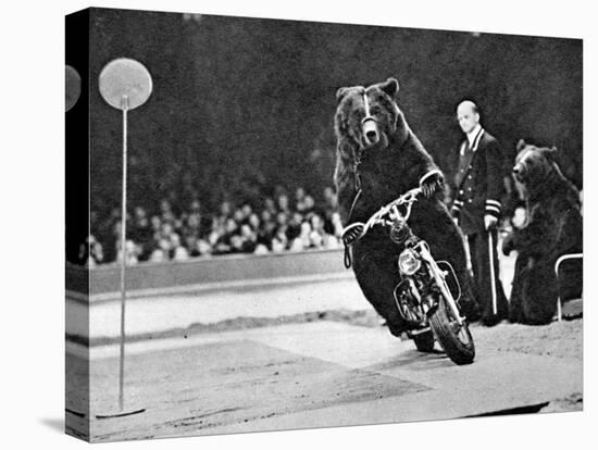 Brown Bear Riding a Motorcycle at the Bertram Mills Circus-null-Premier Image Canvas