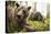 Brown Bear (Ursus Arctos), Finland, Scandinavia, Europe-Janette Hill-Premier Image Canvas