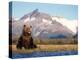 Brown Bear with Salmon Catch, Katmai National Park, Alaskan Peninsula, USA-Steve Kazlowski-Premier Image Canvas