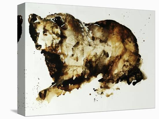 Brown Bear-Sydney Edmunds-Premier Image Canvas