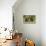 Brown Bears (Ursus Arctos), Finland, Scandinavia, Europe-Andrew Sproule-Premier Image Canvas displayed on a wall