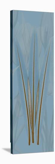 Brown Blue Palm-Albert Koetsier-Stretched Canvas