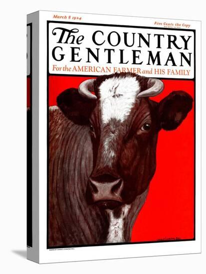 "Brown Cow," Country Gentleman Cover, March 8, 1924-Charles Bull-Premier Image Canvas