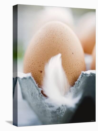 Brown Eggs with Feathers in an Egg Box-null-Premier Image Canvas
