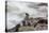 Brown Fur Seals, Arctocephalus Pusillus, Stands Strong Against the Waves in Cape Cross, Namibia-Alex Saberi-Premier Image Canvas