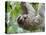 Brown-Throated Sloth and Her Baby Hanging from a Tree Branch in Corcovado National Park, Costa Rica-Jim Goldstein-Premier Image Canvas