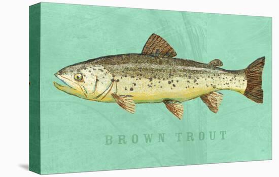 Brown Trout-John Golden-Stretched Canvas