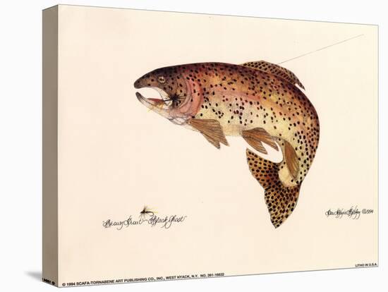 Brown Trout-unknown Blehm-Stretched Canvas
