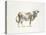 Brown & White Cow-Patti Mann-Stretched Canvas