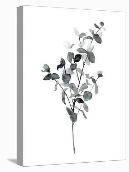 Brume Botanical IV-Emma Scarvey-Stretched Canvas