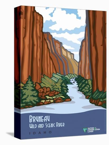Bruneau Wild And Scenic River-Bureau of Land Management-Stretched Canvas