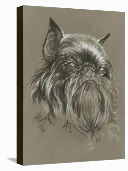 Brussels Griffon-Barbara Keith-Premier Image Canvas