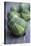 Brussels Sprouts (Brassica Oleracea)-Maxine Adcock-Premier Image Canvas
