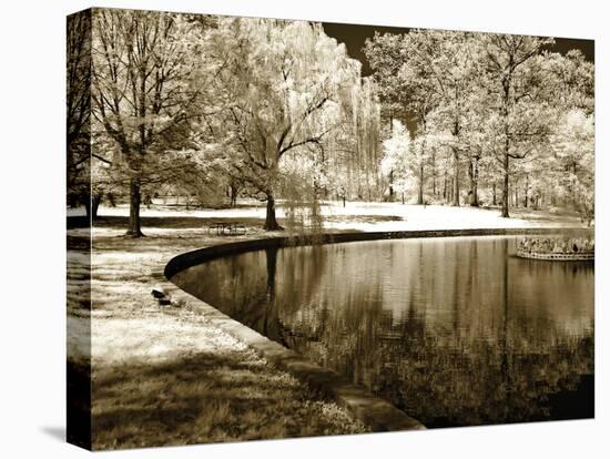 Bryan Pond II-Alan Hausenflock-Premier Image Canvas