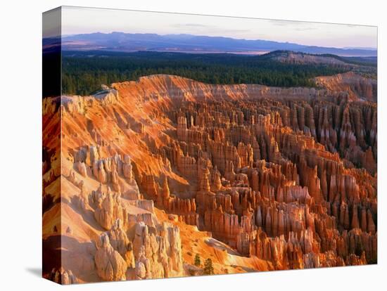 Bryce Amphitheater-Bill Ross-Premier Image Canvas