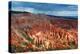 Bryce Canyon from Inspiration Point, Utah-Geraint Tellem-Premier Image Canvas