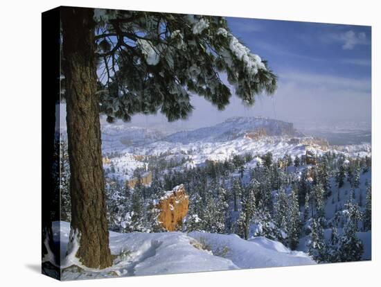 Bryce Canyon in Winter, Utah, USA-Nancy Rotenberg-Premier Image Canvas