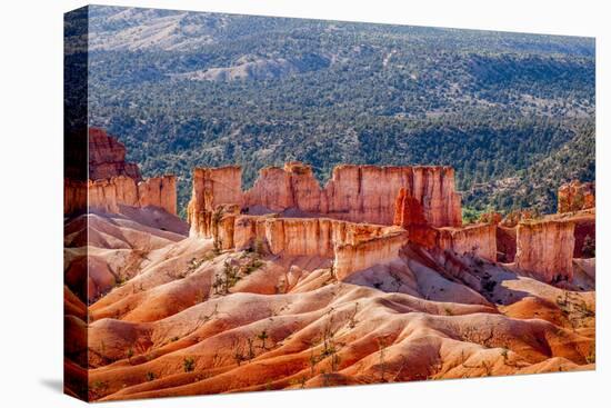 Bryce Canyon National Park Utah-Michael DeFreitas-Premier Image Canvas