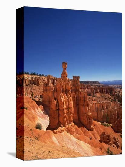 Bryce Canyon National Park-null-Premier Image Canvas