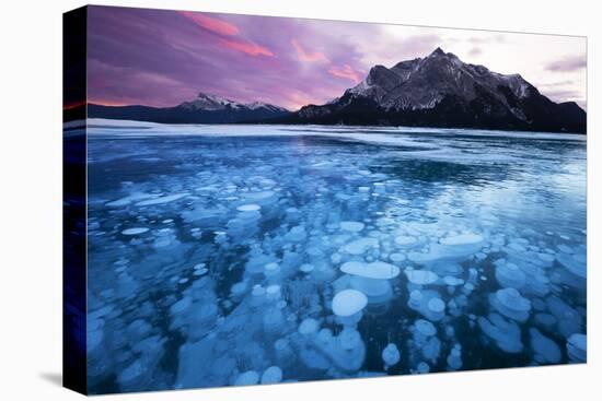 Bubbles and Cracks in the Ice-Miles Ertman-Premier Image Canvas