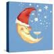 Bubbly Christmas Moon-David Cooke-Premier Image Canvas