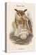 Bubo Maximus - Eagle Owl-John Gould-Stretched Canvas