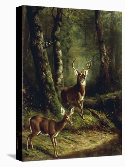 Buck and Doe in the Adirondacks-Arthur Fitzwilliam Tait-Premier Image Canvas