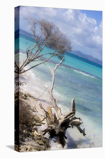 Buck Island, Saint Croix, Us Virgin Islands. Beach with Christiansted-Janet Muir-Premier Image Canvas