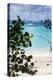 Buck Island, Saint Croix, Us Virgin Islands. Sailboat-Janet Muir-Premier Image Canvas