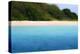 Buck Island, Saint Croix, Us Virgin Islands. Soft Focus of the Beach-Janet Muir-Premier Image Canvas