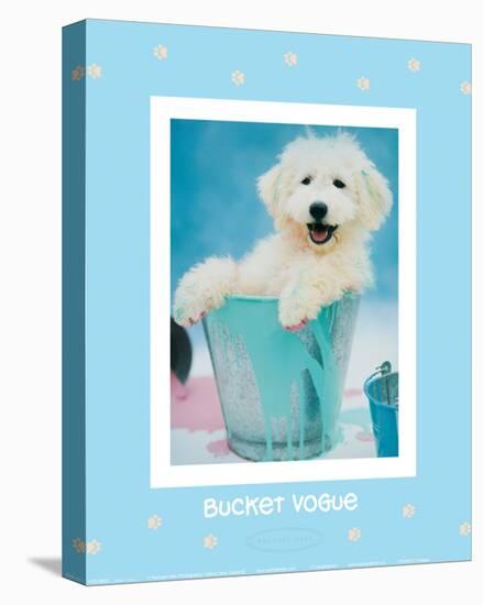 Bucket Vogue-Rachael Hale-Stretched Canvas