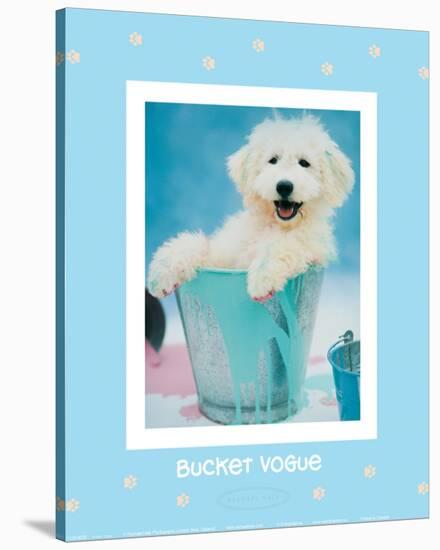 Bucket Vogue-Rachael Hale-Stretched Canvas