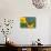 Buckeye Butterfly-Darrell Gulin-Premier Image Canvas displayed on a wall