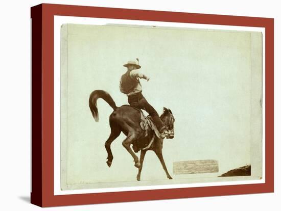 Bucking Bronco. Ned Coy-John C. H. Grabill-Premier Image Canvas